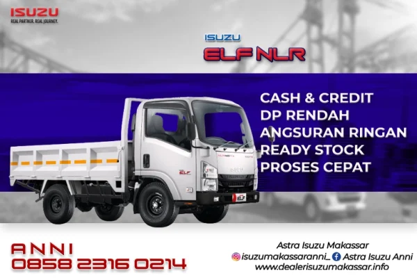 ELF NLR