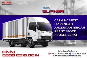 ELF NMR
